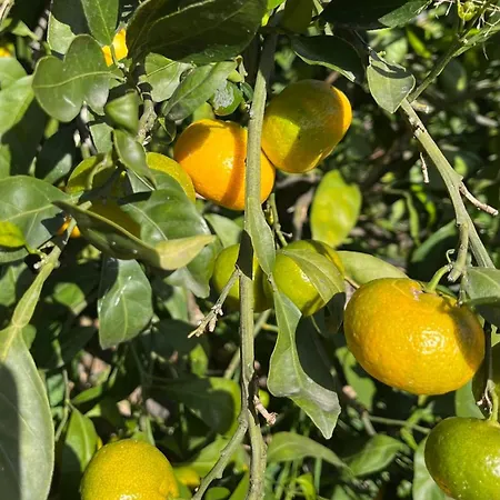 Encantadora En Montanas