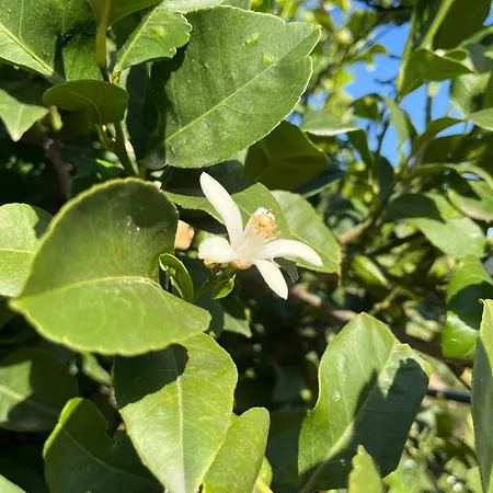 Encantadora En Montanas