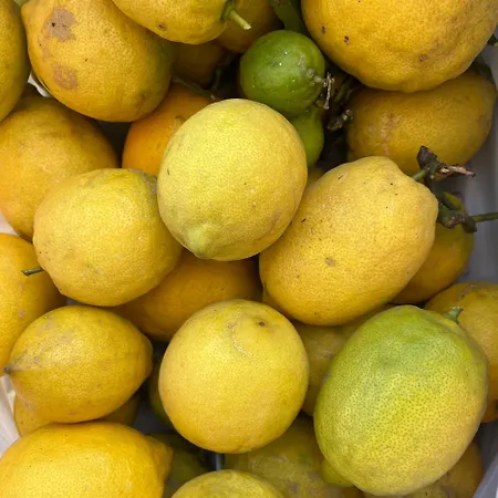 Holiday home Encantadora En Montanas