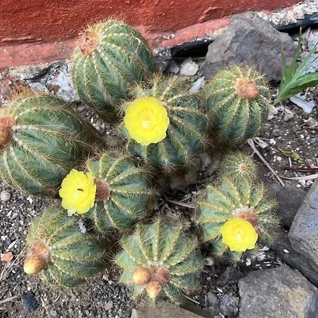 Encantadora En Montanas Casa de Férias